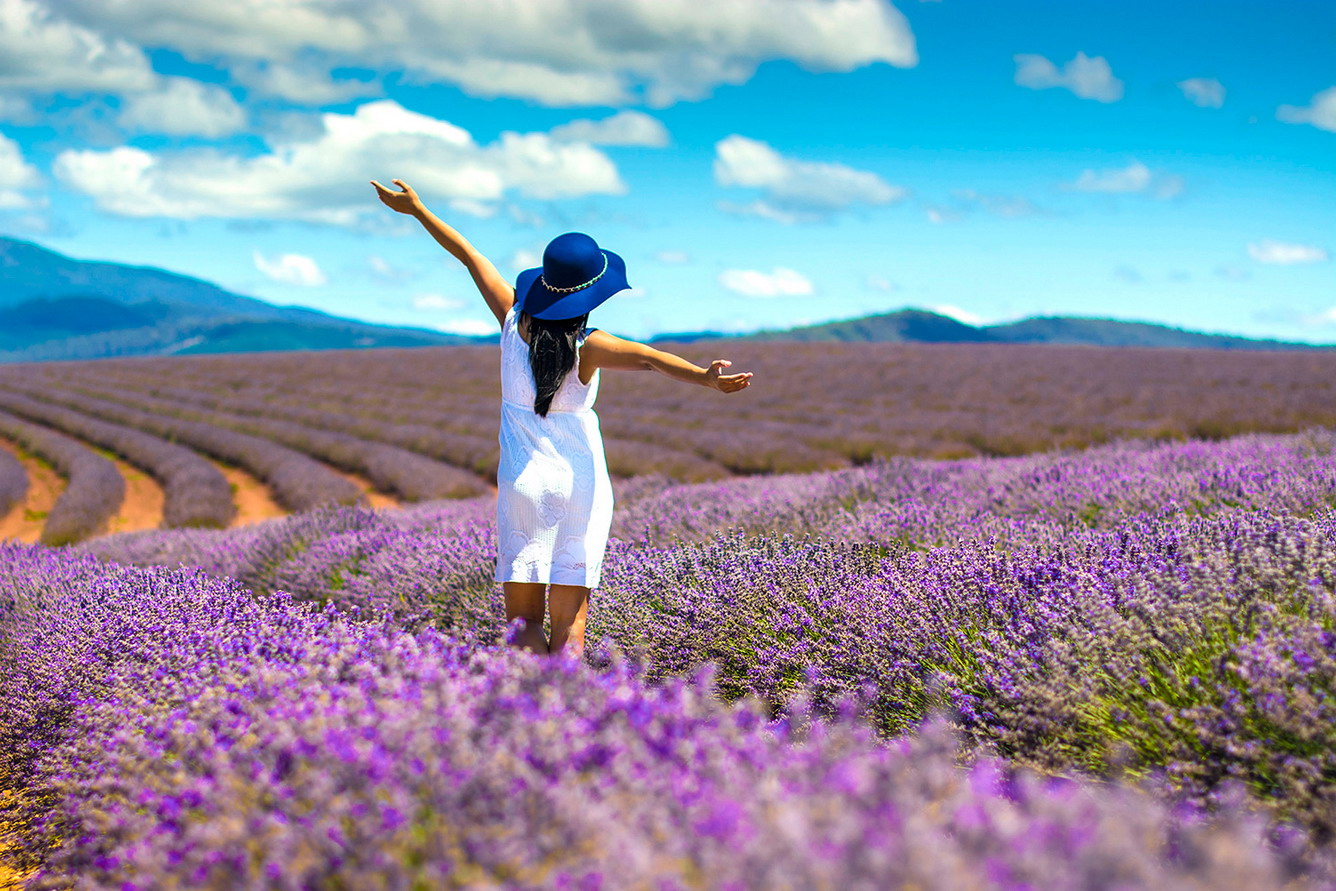 6-lavender-fields